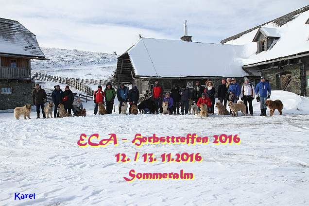 ECA - Herbsttreffen - 13.11.2016